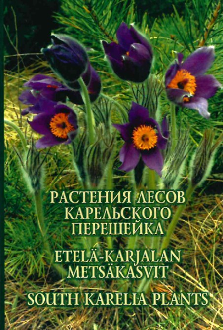 Растения лесов Карельского перешейка