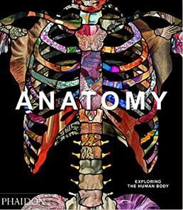 Anatomy: Exploring the Human Body