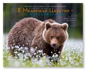 В медвежье царство - с фотоаппаратом