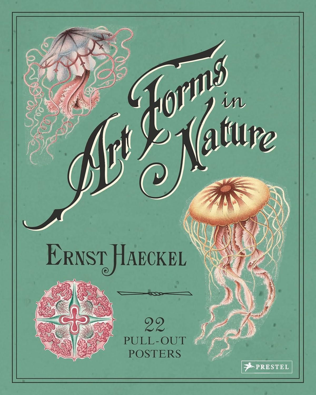 Art Forms in Nature: 22 Pull-Out Posters by Ernst Haeckel Art Forms in Nature: 22 Pull-Out Posters by Ernst Haeckel