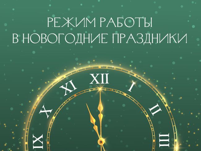 Режим работы Дома книги в новогодние праздники!