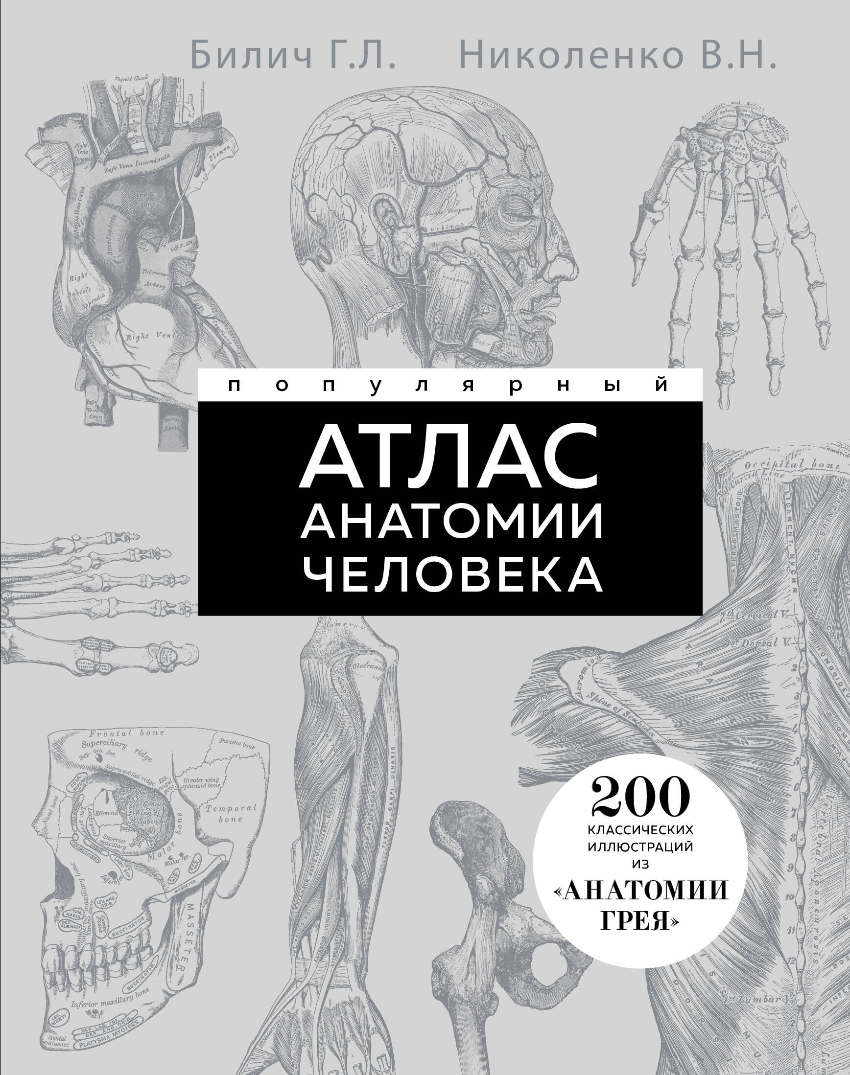 Популярный атлас анатомии человека. 200 классических иллюстраций из «Анатомии Грея» Популярный атлас анатомии человека. 200 классических иллюстраций из «Анатомии Грея»