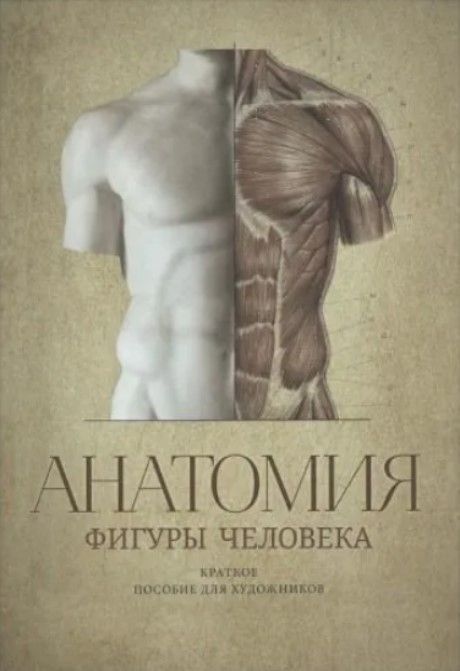 Анатомия фигуры человека (на рус.яз.) Анатомия фигуры человека (на рус.яз.)