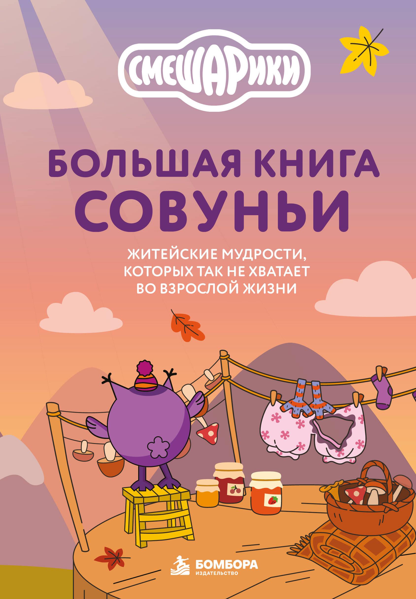 Большая книга Совуньи. Житейские мудрости, которых так не хватает во взрослой жизни