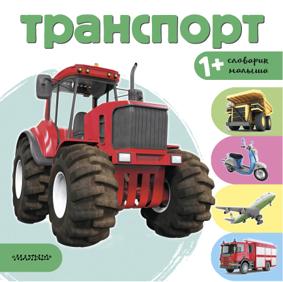 Станкевич С. Транспорт
