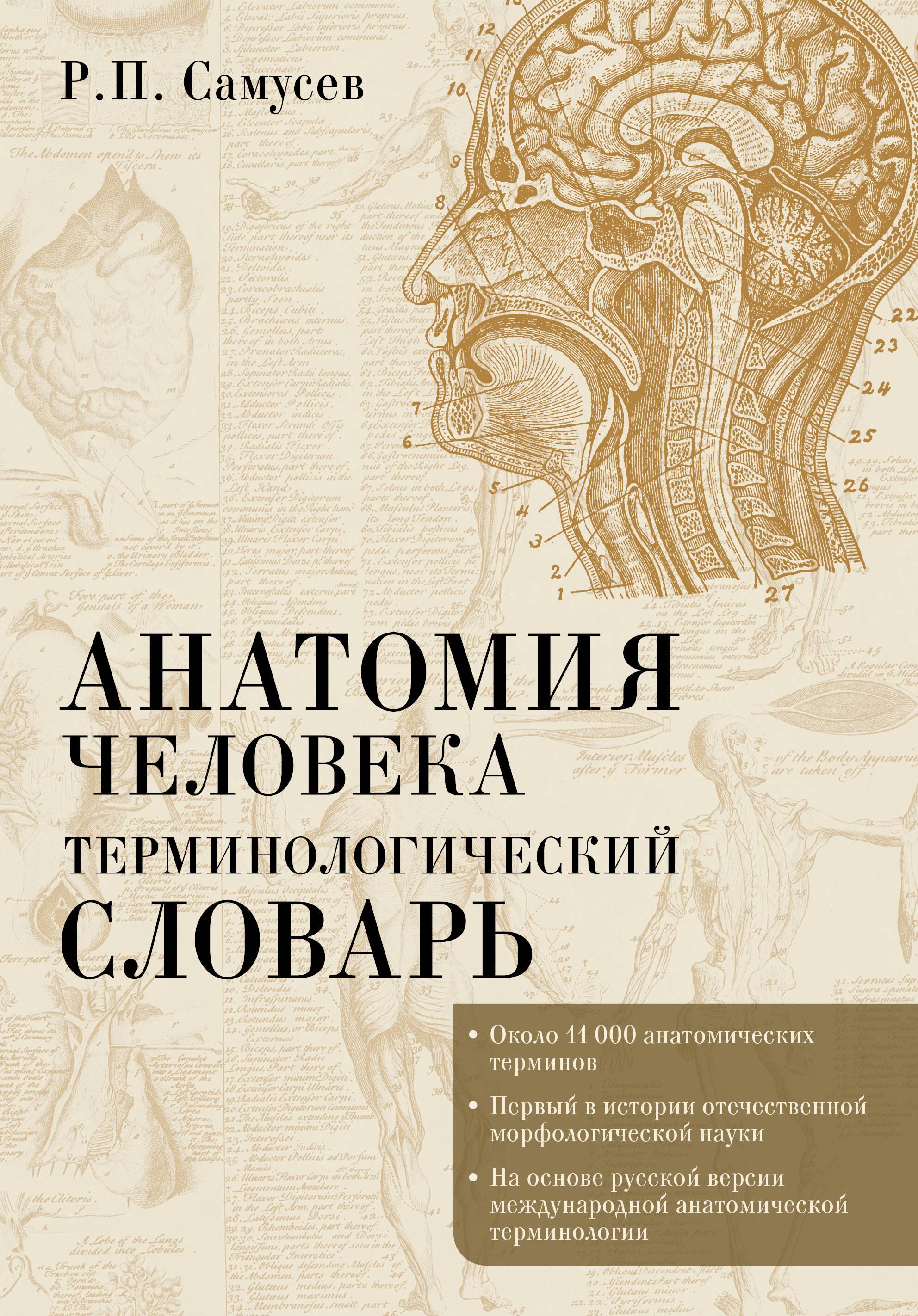 Анатомия человека.Терминологический словарь Анатомия человека.Терминологический словарь