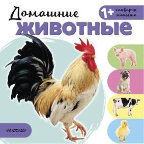 Станкевич С. Домашние животные