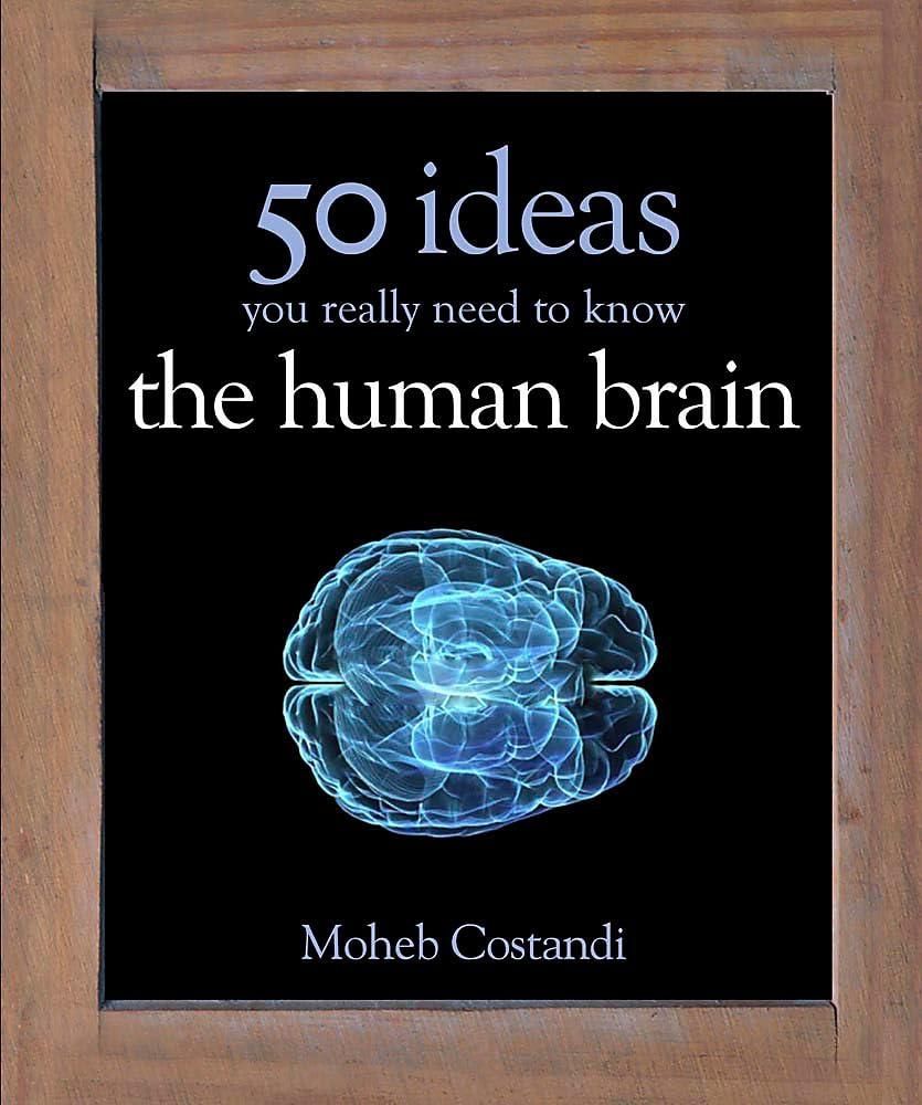50 Human Brain Ideas You Really Need to Know HC
