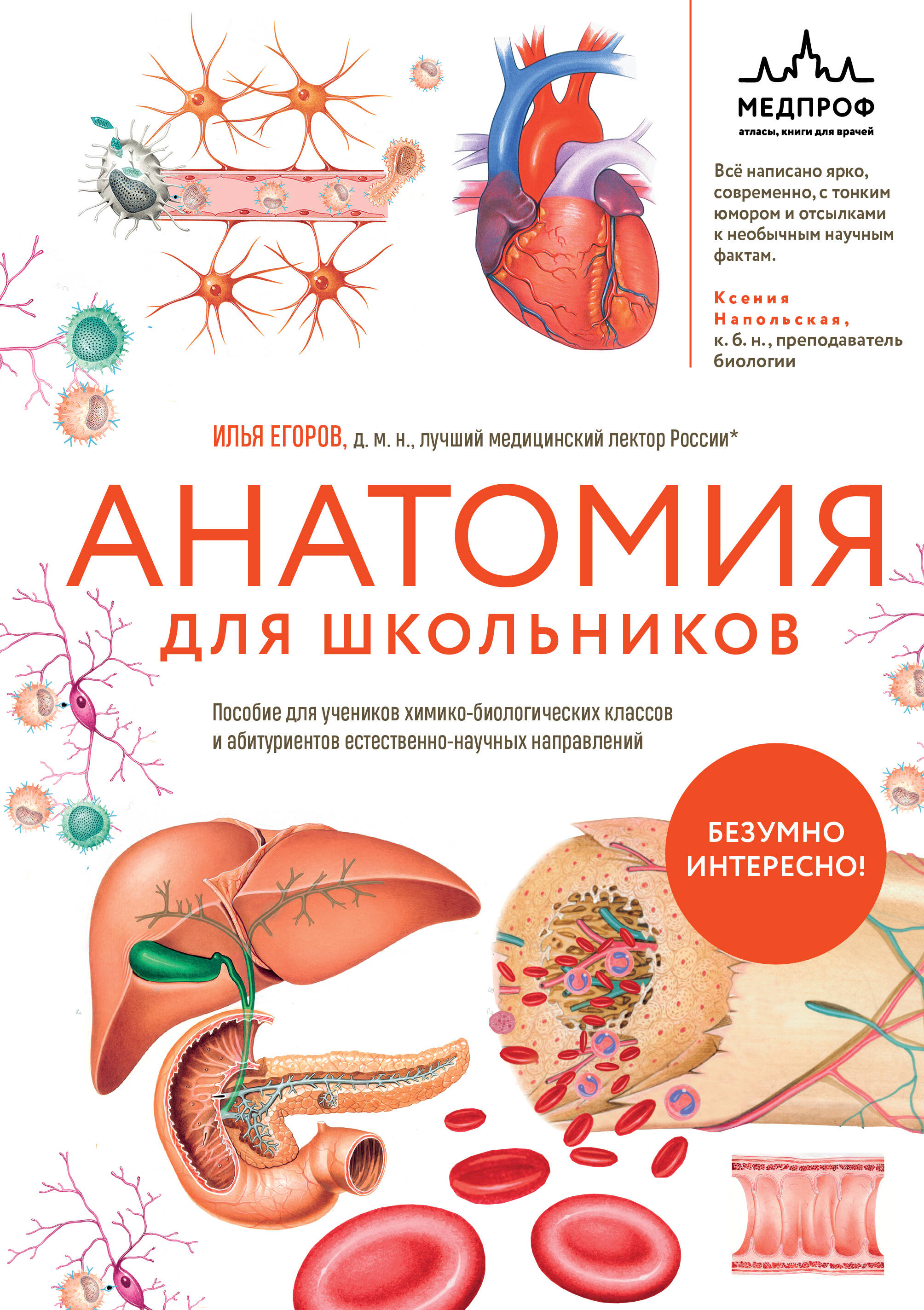 Анатомия для школьников. Пособие для учеников химико-биологических классов и абитуриентов естественн